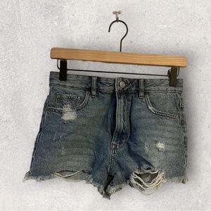 Pacsun Shorts